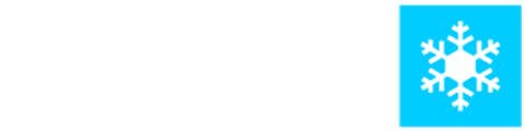 Winter Film Festival