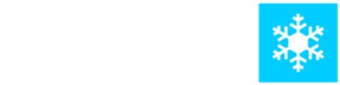 Winter Film Festival
